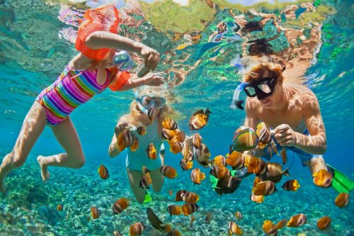 Symbolbild Besondere Erlebnisse: Kind und Erwachsene tauchen zwischen bunten Fischen