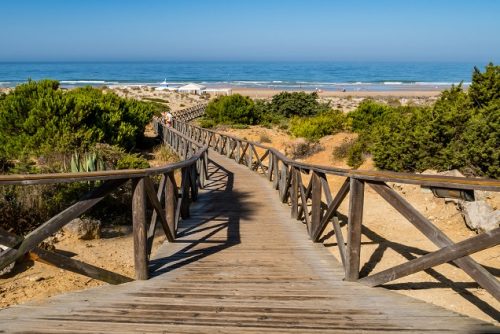 Holzweg mit Geländer zum Mittelmeer an der Costa de la Luz, in La Barrosa, Andalusien, Spanien, rechts und links davon grüne Sträucher, Sonnenschein