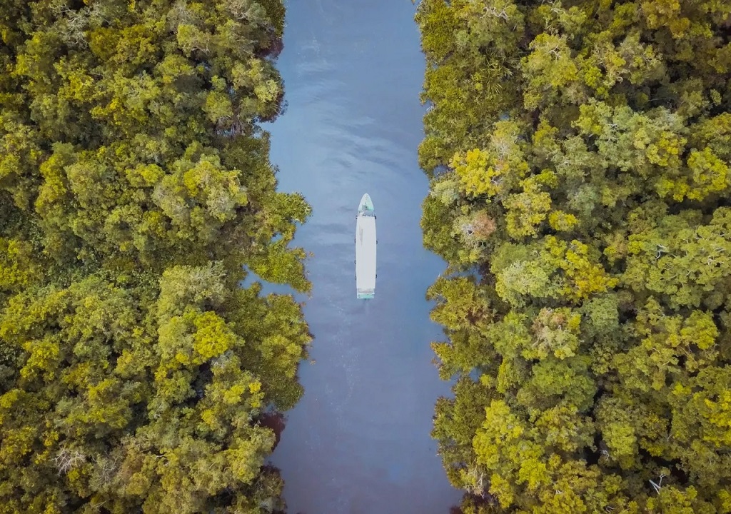 Bali Urlaub-Bild: Blick von oben auf den Tanjun Putting National Park Indonesien, zu sehen: grüne Bäume rechts und links eines Flusses, auf dem ein weißes Boot schwimmt