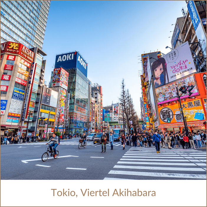 Japan Rundreise Tokio in Erfurt bei REISEBÜRO Wache buchen; im Bild: riesige Leuchtwerbung an einer Straße in Tokio; Text: Tokios Viertel Akihabara