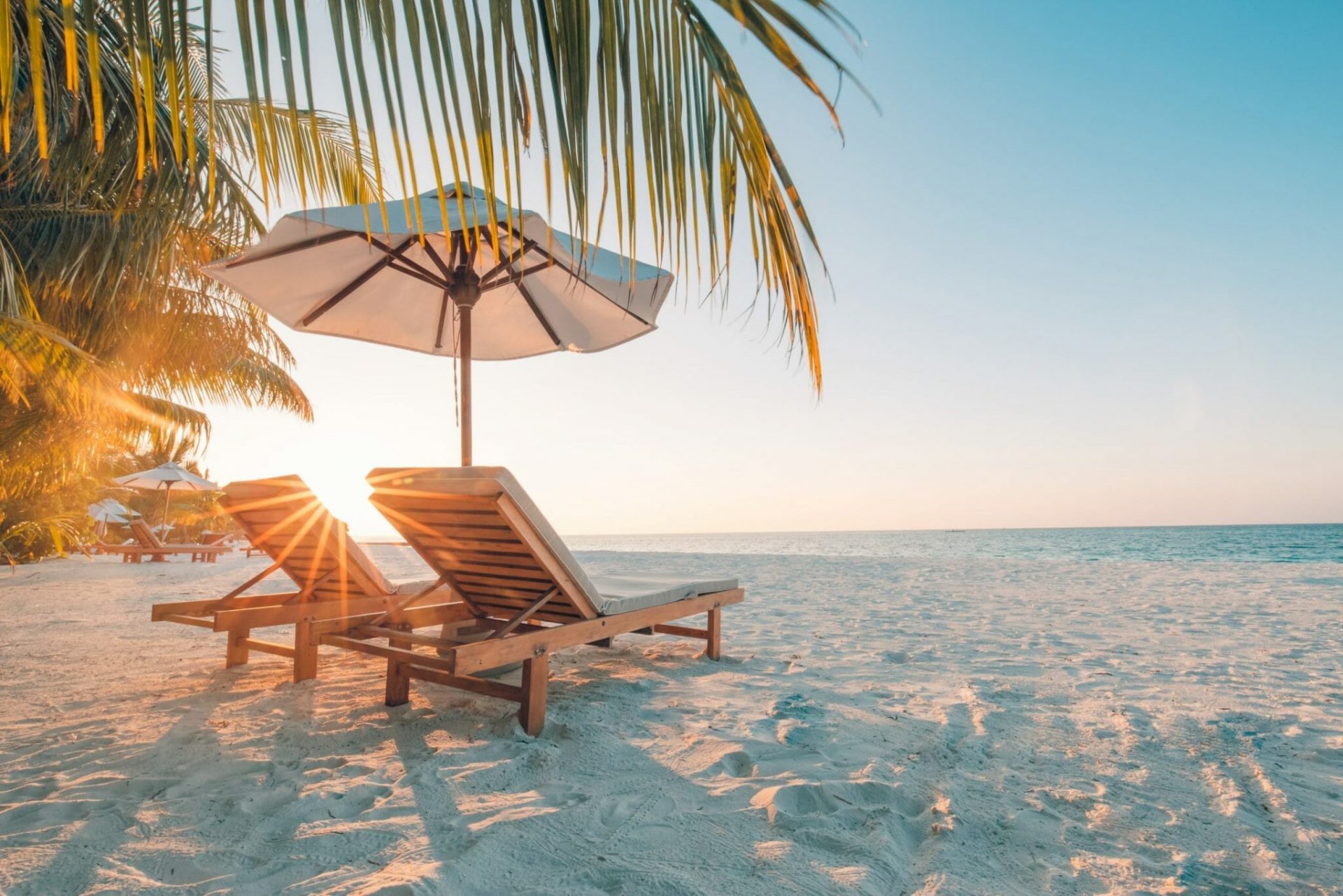 Erfurt REISEBÜRO Wache: an der Nordhäuser Straße und REISEBÜRO Wache - TEC Erfurt, Symbolbild: zwei Holz-Liegestühle unter Palmen am Strand bei tiefstehender Sonne