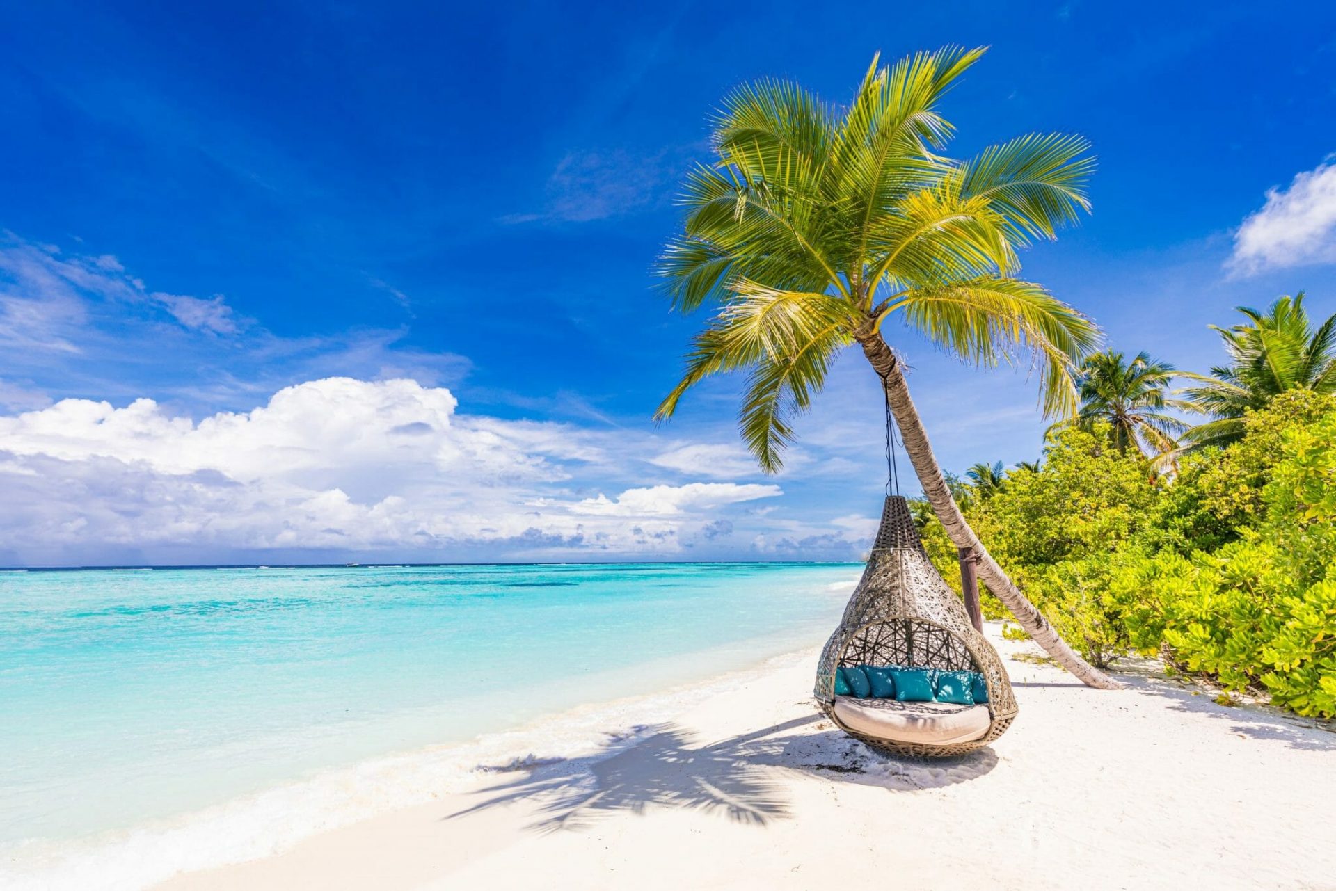 Erfurt REISEBÜRO Wache; Reiseanfrage stellen, Beratung Urlaub, Symbolbild dafür: Korbliege an einer Palme am Strand des türkisblauen Meers