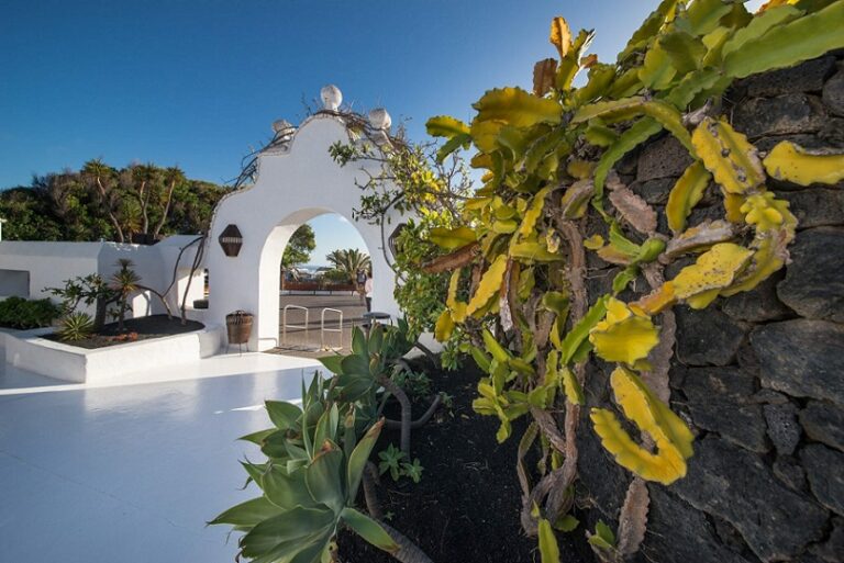 Kanarische Inseln buchen, zum Beispiel Lanzarote, bei REISEBÜRO Wache Erfurt; im Bild: weißes Haus im Hintergrund, im Vordergrund ein grün wachsender, rankender Kaktus, blauer Himmel