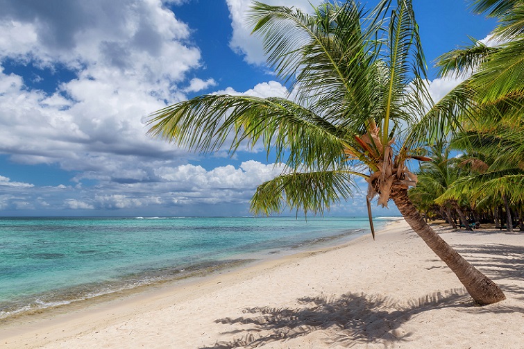 Kreuzfahrt Mauritius buchen bei REISEBÜRO Wache, zu sehen: Palme am Sandstrand vor türkisfarbenem Wasser, am Himmel weiße Schäfchenwolken