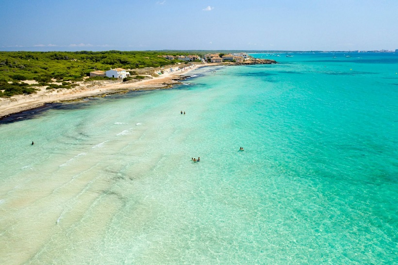 Urlaub mit Kindern ab Erfurt nach Mallorca bei REISEBÜRO Wache buchen; im Bild: Vogelperspektive vom türkisfarbenen Meer Richtung Land gesehen, dort ein beigefarbener Strand, dahinter wächst es grün