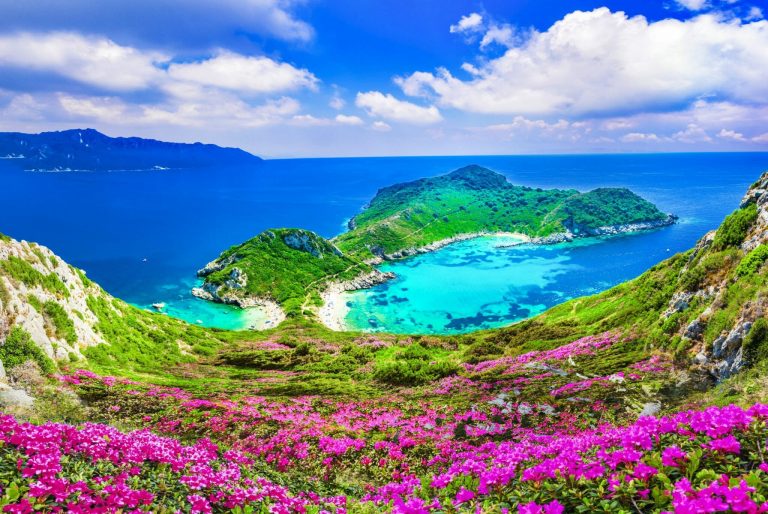 Blick auf den Hafen Timoni Beach der grünen griechischen Insel Korfu, im Vordergrund lilafarbene Blumen