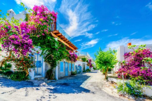 Urlaub mit Kindern ab Erfurt in die Türkei, REISEBÜRO Wache; im Bild: niedrige Häuser, von pinkfarbenen blühenden Blumen umrankt, blauer Himmel