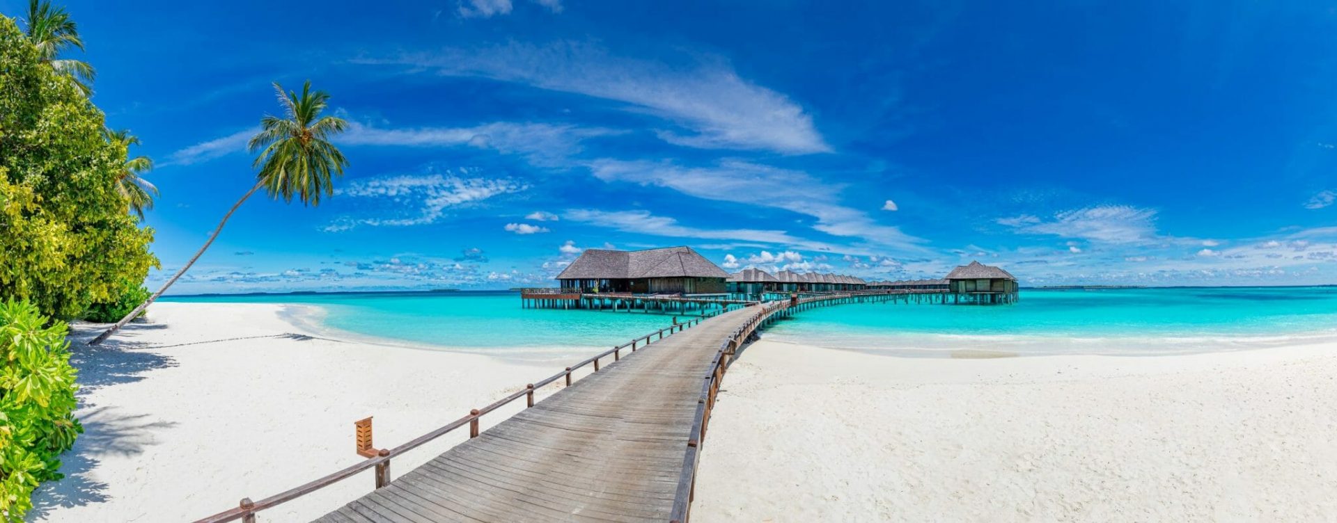 Amazing,Panorama,At,Maldives.,Luxury,Resort,Villas,Seascape,With,Palm